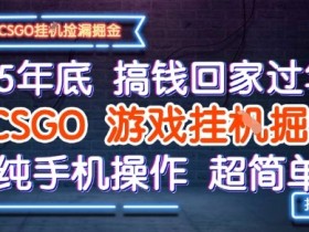 25年底搞钱回家过年,CSGO游戏挂G掘金,纯手机操作超简单【揭秘】