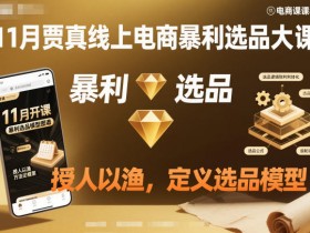 11月贾真线上电商暴利选品大课,授人以渔,定义选品模型