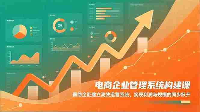 (16643期)电商企业管理系统构建课:帮助企业建立高效运营系统,实现利润与规模的同步跃升