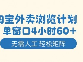 淘宝外卖浏览计划,到窗口4小时60+无需人工,轻松矩阵开干【揭秘】