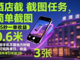 酒店截图任务,简单截图,15秒一单收益0.6米,一部手机不限地方时间,可矩阵单日收益3张【揭秘】