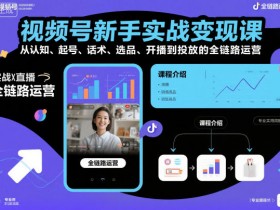 视频号新手实战变现课,从认知、起号、话术、选品、开播到投放的全链路运营