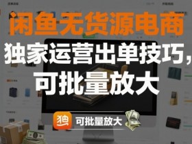 闲鱼无货源电商,独家运营出单技巧,可批量放大