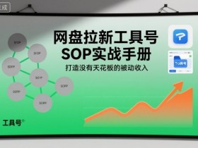 网盘拉新工具号SOP实战手册,打造没有天花板的被动收入