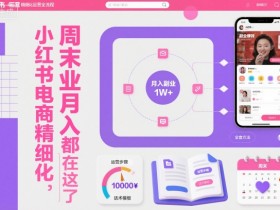 小红书电商精细化运营全流程,周末副业月入1W+,全套方法都在这了