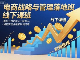 电商战略与管理落地班线下课,教你公司如何从小做到大,如何实现业绩和利润倍增【录音】