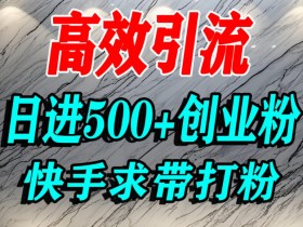 怎么打创业粉?快手求带视角精准引流创业粉,宝妈、学生群体日进500+精准流量