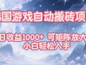 韩国游戏自动搬砖项目,日收益1k+,可矩阵放大,小白轻松入手【揭秘】