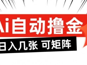 AI自动撸金,日入几张,全自动不占用时间,可矩阵批量放大操作【揭秘】