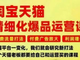 淘宝天猫精细化爆品运营课,免费流量打法-付费广告放大-利润增长-三大核心痛点,一次全部解决
