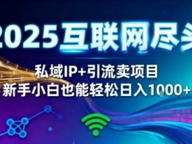 2025网创尽头王炸项目!私域IP+精准引流,新手小白在家躺賺日入1k,零经验也能上手【揭秘】