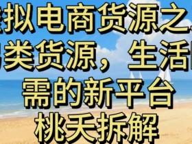 虚拟电商之三另类的货源,生活刚需的新平台