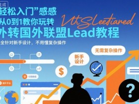 国外联盟賺美刀项目,从0到1教你玩转国外联盟Lead教程,纯新手可操作性100%