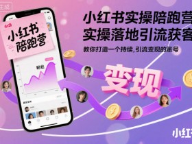 小红书实操陪跑营,实操落地引流获客,教你打造一个持续引流变现的账号