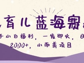 Ai育儿蓝海赛道,新手小白福利,一发即火,日入2k+,小而美项目【揭秘】