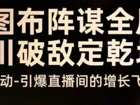 云图布阵谋全局千川破敌定乾坤,双擎驱动-引爆直播间的增长飞船,8月4日线下课