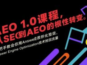 AEO 1.0 课程,从SEO到AE0的基命性转变,手把手教会你用AnswerEngineOptimization技术抢回流量(更新)