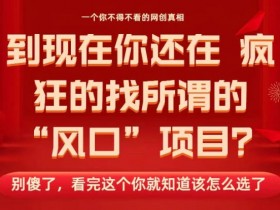 马上26年了,你还在找所谓的风口项目?别傻了,看完这个你全都懂了!【揭秘】
