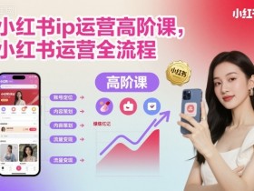 小红书ip运营高阶课,小红书运营全流程