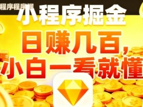 微信小程序掘金项目,日入几张,项目简单,小白一看就懂,5分钟就能学会上手操作【揭秘】