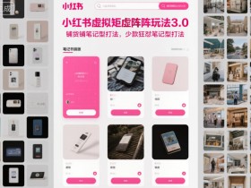 小红书虚拟矩阵玩法3.0,铺货铺笔记型打法,少款狂怼笔记型打法