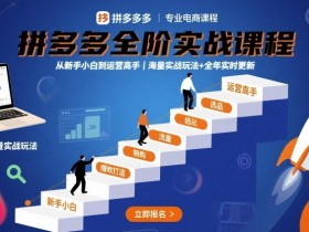 拼多多全阶实战课程,从新手小白到运营高手,海量实战玩法+全年实时更新【2025年10月更新】