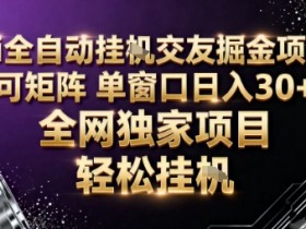 AI全自动聊天交友掘金项目,批量可矩阵,单窗口收益轻松30+【揭秘】