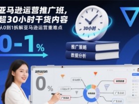 亚马逊运营推广班,超30小时干货内容,从0到1拆解亚马逊运营重难点