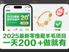 2025最新零撸薅羊毛项目,纯手机操作,20秒一单,无任何门槛,一天200+做就有【揭秘】