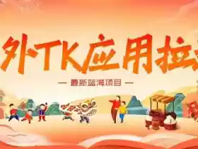 海外TK应用拉新,最新蓝海项目,早做早吃肉,月入5K美刀