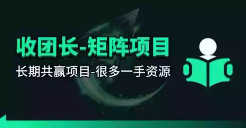 【团长合作】视频矩阵项目_招发手矩阵+剪辑师,共赢项目【揭秘】