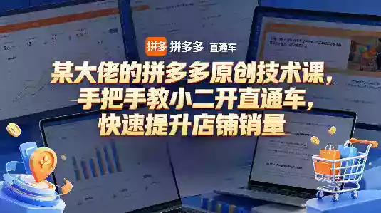 某大佬的拼多多原创技术课,手把手教小二开直通车,快速提升店铺销量