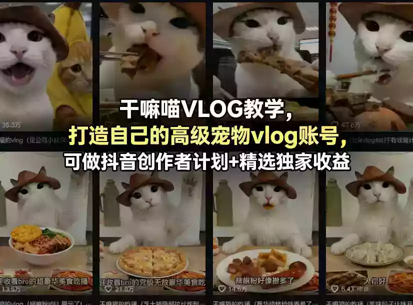 干嘛喵VLOG教学,打造自己的高级宠物vlog账号,可做抖音创作者计划+精选独家收益