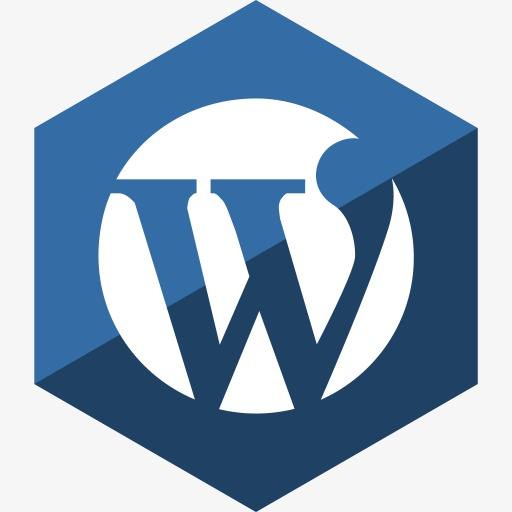 如何为WordPress文章自动添加已经使用过的tag标签？ (https://www.yunsxr.com/) WordPress开发教程 第1张