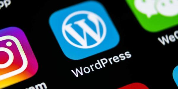 Linux虚拟环境部署WordPress教程 WordPress入门 第1张-VPSCHE小车博客 Linux虚拟环境部署WordPress教程 (https://www.yunsxr.com/) WordPress入门 第1张