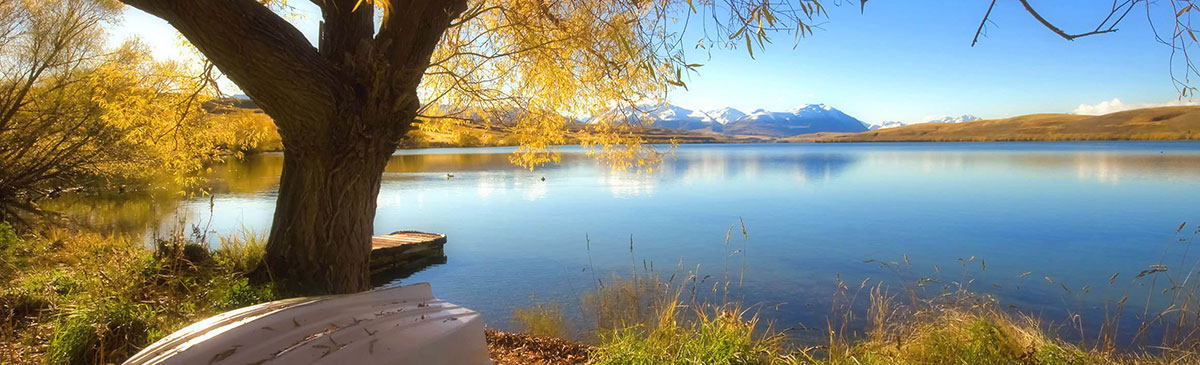 如何只显示WordPress某文章的所有评论者名称？ (https://www.yunsxr.com/) WordPress基础教程 第1张