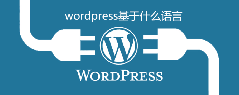 WordPress程序使用的什么语言？ (https://www.yunsxr.com/) WordPress入门 第1张