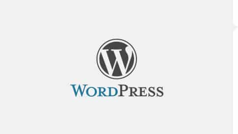 实用的WordPress主题函数使用技巧 (https://www.yunsxr.com/) WordPress入门 第1张