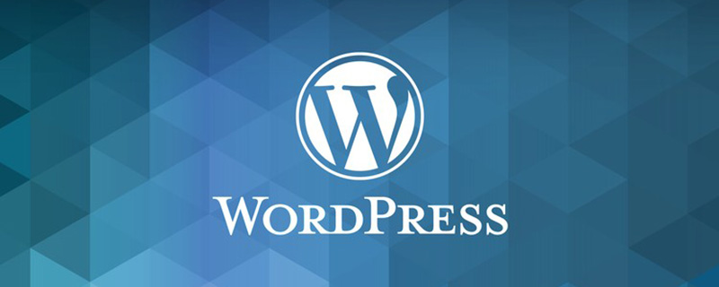 WordPress自定义主题及背景时出现致命错误的解决方法 WordPress基础教程 第1张-VPSCHE小车博客 WordPress自定义主题及背景时出现致命错误的解决方法 (https://www.yunsxr.com/) WordPress基础教程 第1张