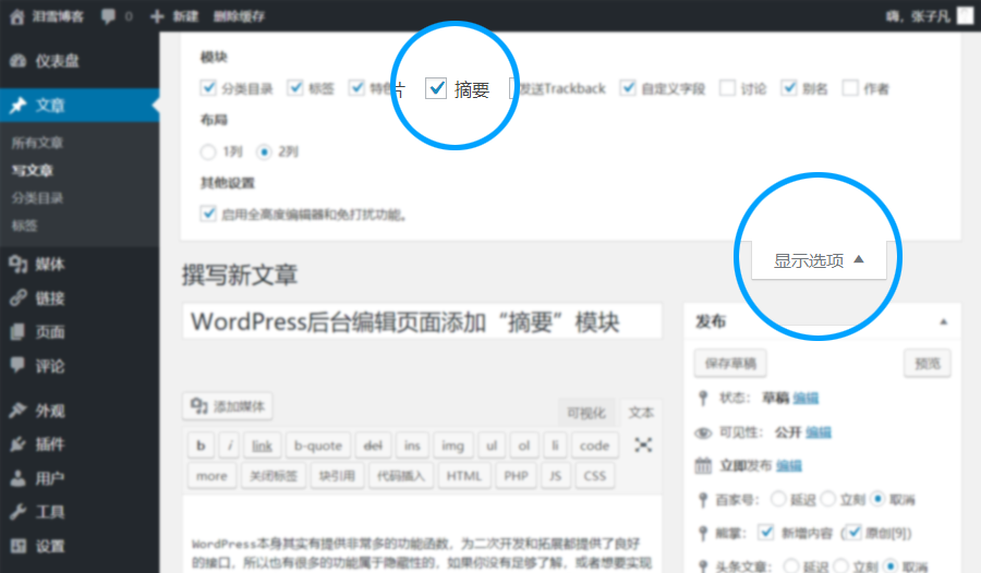 WordPress 编辑页面添加“摘要”模块 WordPress基础教程 第2张-VPSCHE小车博客 WordPress 编辑页面添加“摘要”模块 (https://www.yunsxr.com/) WordPress基础教程 第2张