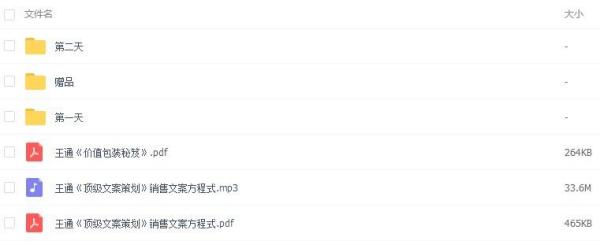 王通《顶级文案策划》课程培训 销售文案 seo自媒体教程 微营销