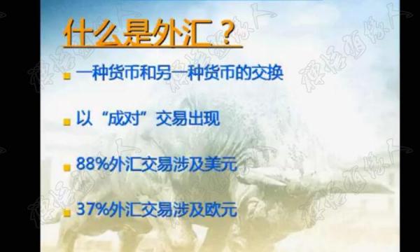 外汇交易视频教程 黄金操盘技术分析 投资入门到精通教程