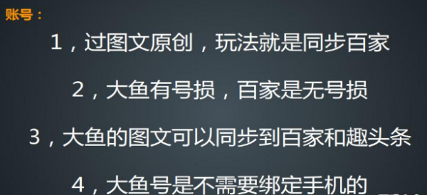 老苏vip收费课程，大鱼做收益项目实操，价值1000