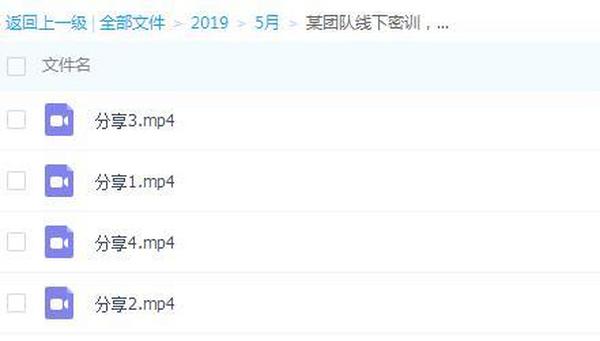 某团队线下密训，如何通过手机年入百万（共4节现场录像）