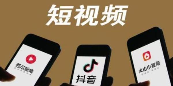 软件实操教你月入过万《小白速成20节短视频赚钱课》