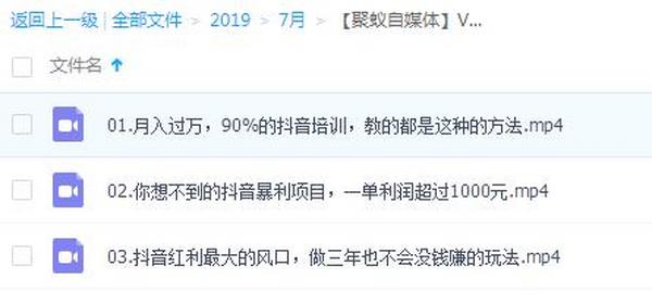 聚蚁自媒体VIP内部课程：抖音暴利项目一单利润1000元