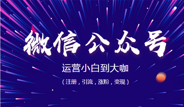 微信公众号运营小白到大咖(注册,引流,涨粉,变现)