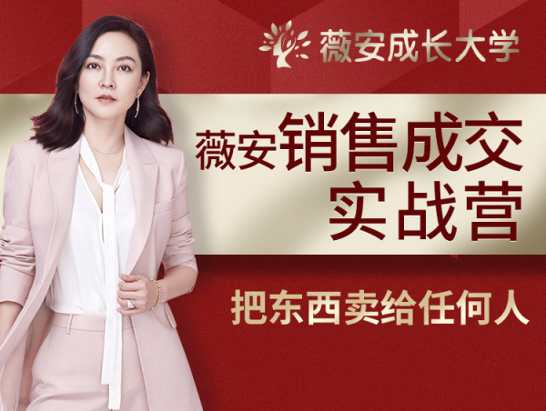薇安28天销售高手训练把东西卖给任何人