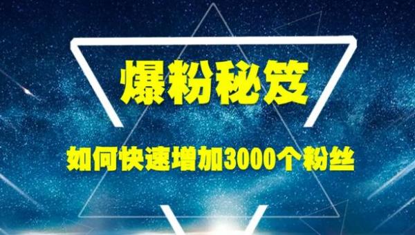 王通《爆粉秘笈》如何快速增加3000个精准粉丝（无水印）