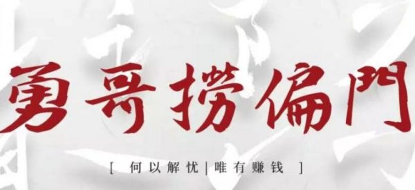 勇哥捞偏门VIP会员:独家脚本被动引流变现项目